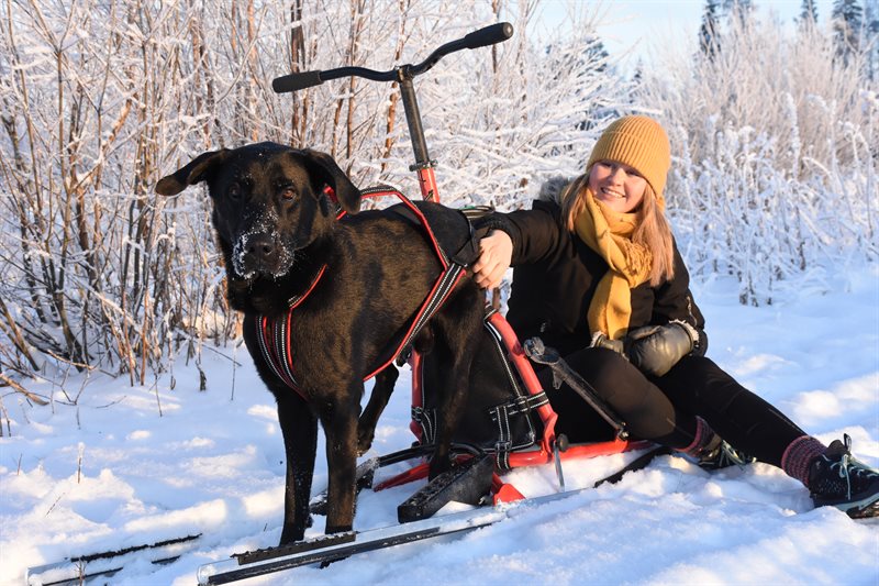 ESLA Adventure - Hundsläde