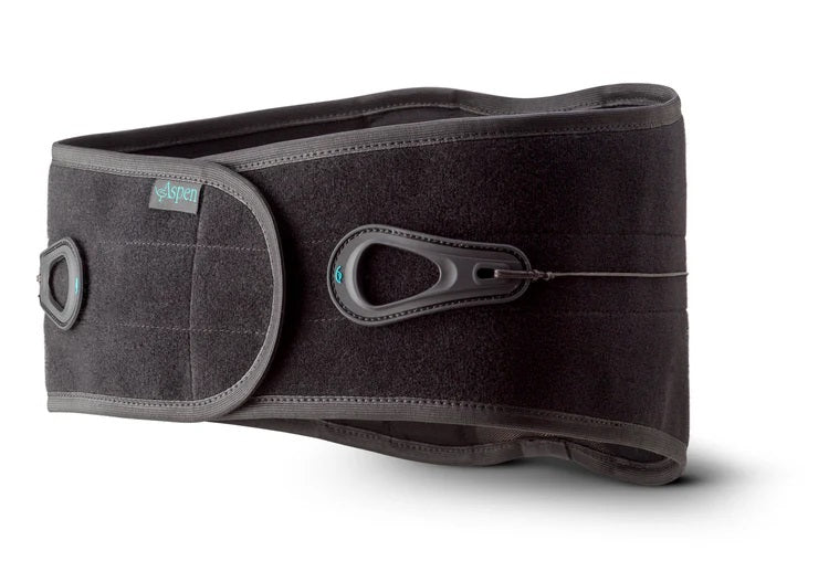 Aspen Lumbar Support